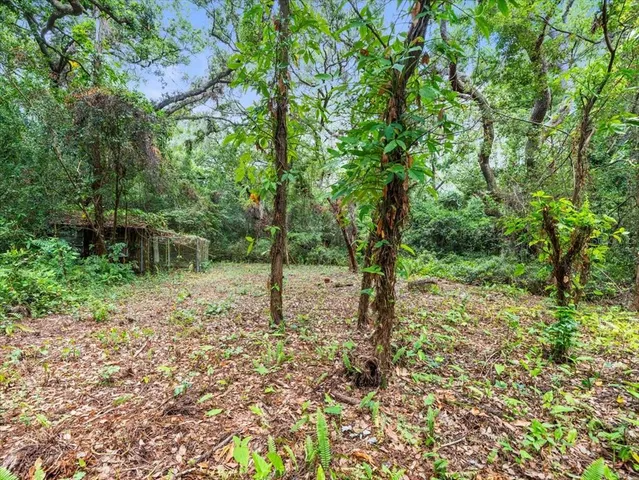 a view of a yard with lots of trees