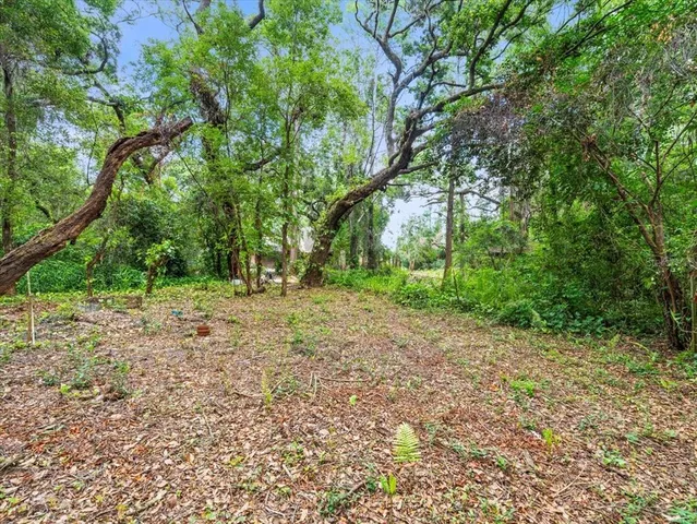 a view of backyard with green space