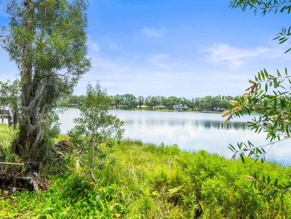 16035 Chastain Road Odessa, FL 33556 - Photo 23 of 31 a view of a lake with houses in the back