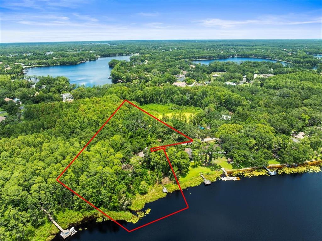 16035 Chastain Road Odessa, FL 33556 - Photo 26 of 31 an aerial view of a houses with outdoor space and trees all around