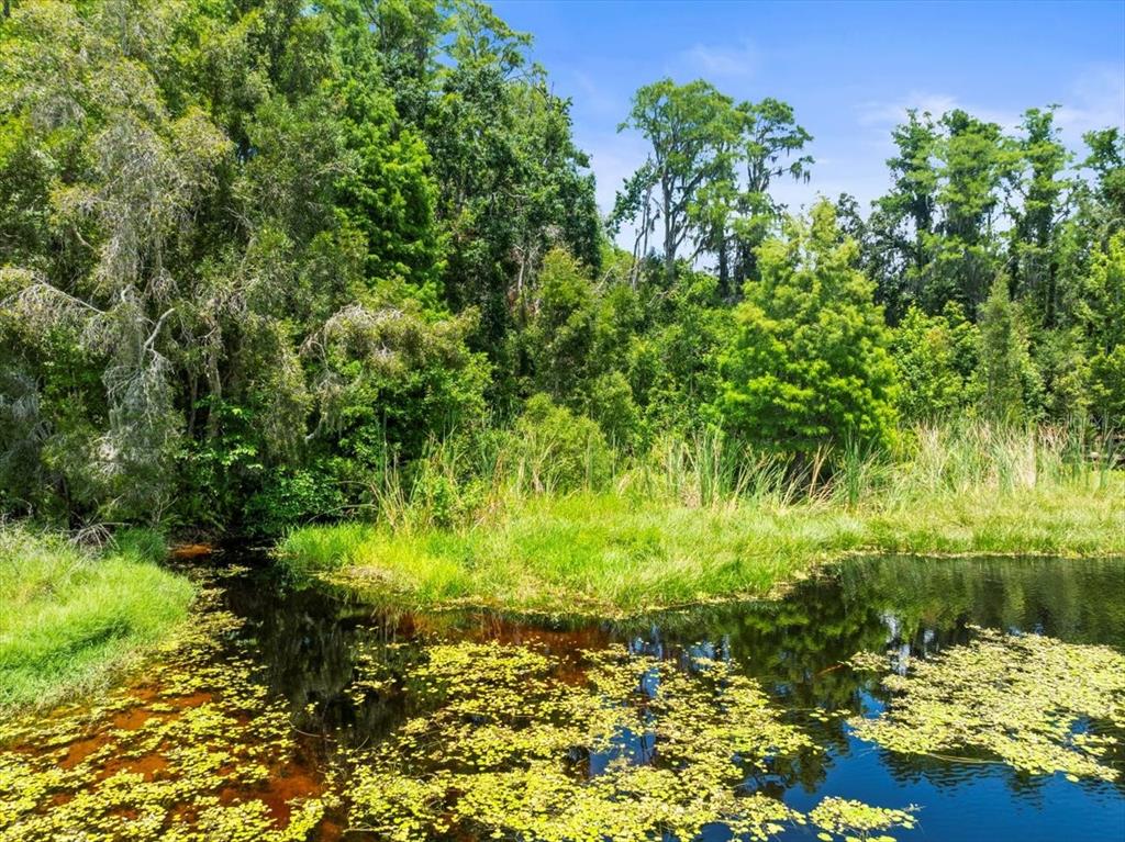 16035 Chastain Road Odessa, FL 33556 - Photo 28 of 31 a view of a garden