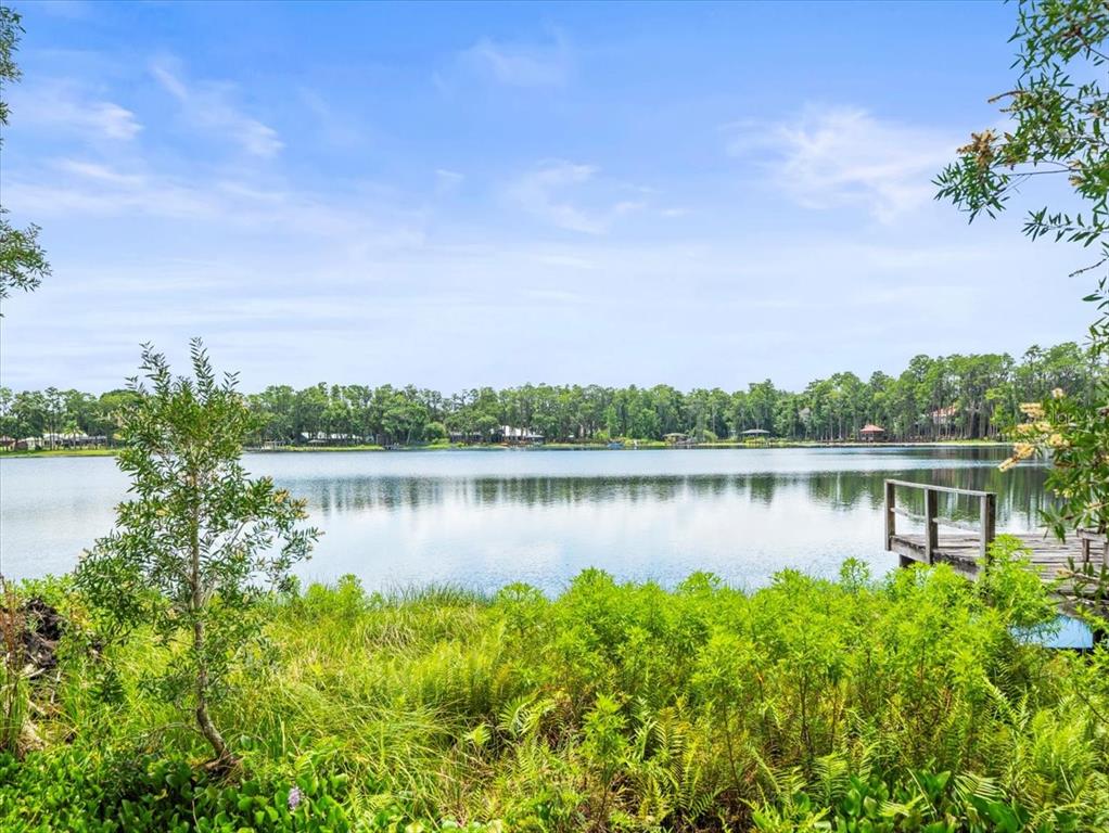 16035 Chastain Road Odessa, FL 33556 - Photo 3 of 31 a view of a lake with a big yard