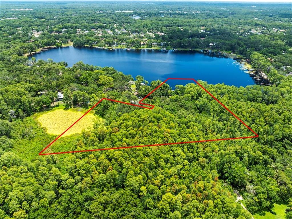 16035 Chastain Road Odessa, FL 33556 - Photo 31 of 31 an aerial view of residential houses with outdoor space and trees