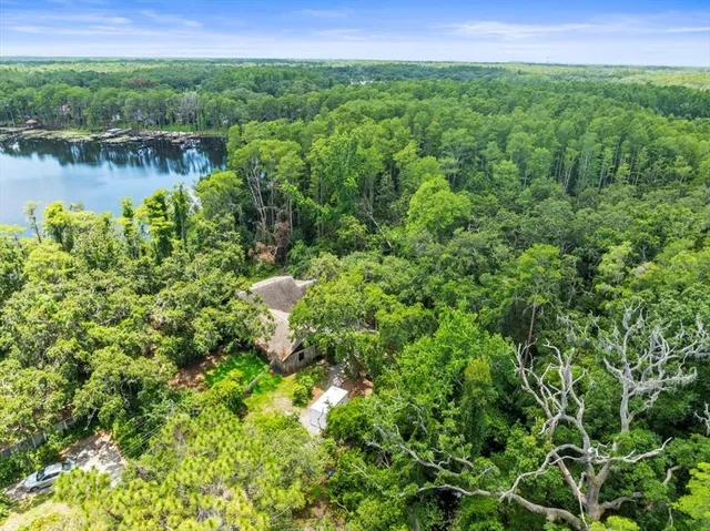 a view of a garden with a lake