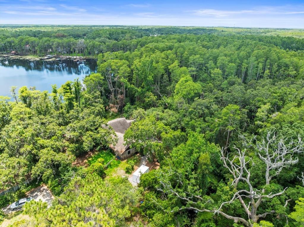 16035 Chastain Road Odessa, FL 33556 - Photo 4 of 31 a view of a garden with a lake