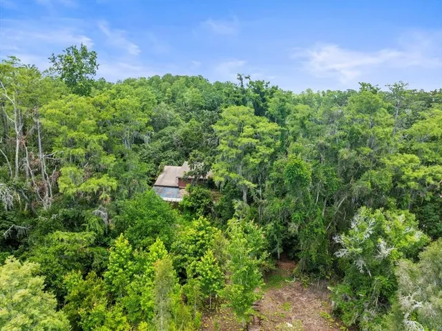 a backyard of a house with a lots of plants and tree