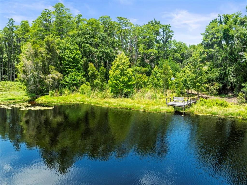 16035 Chastain Road Odessa, FL 33556 - Photo 8 of 31 a view of lake view