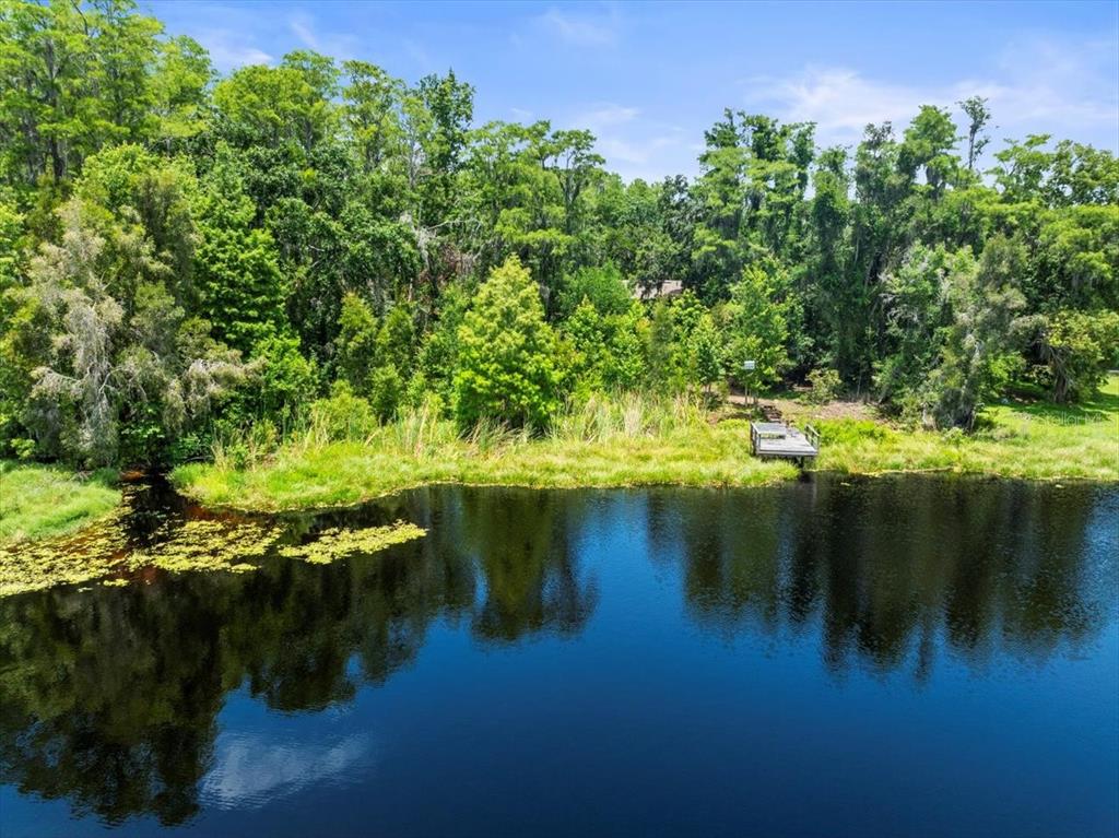 16035 Chastain Road Odessa, FL 33556 - Photo 9 of 31 a view of lake