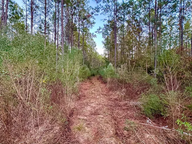 $156,792 | 0 FM 1012 North, Newton, TX 75966