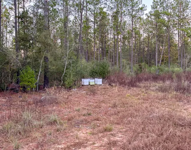 $156,792 | 0 FM 1012 North, Newton, TX 75966