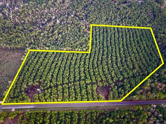 $156,792 | 0 FM 1012 North, Newton, TX 75966