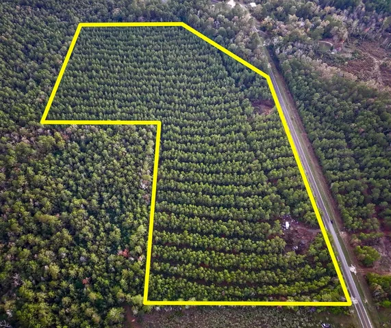 $156,792 | 0 FM 1012 North, Newton, TX 75966