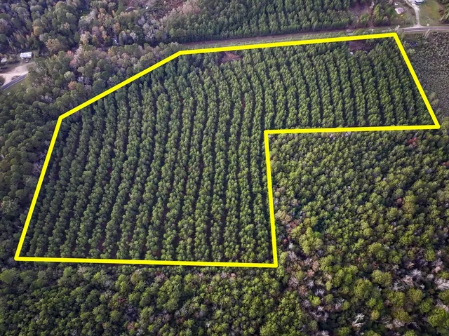 $156,792 | 0 FM 1012 North, Newton, TX 75966