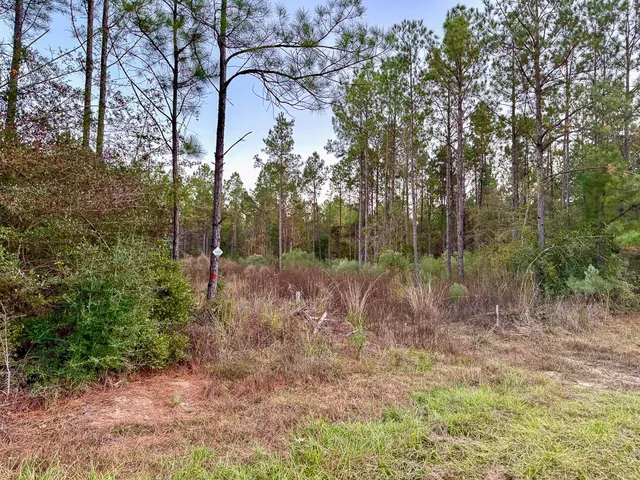 $156,792 | 0 FM 1012 North, Newton, TX 75966