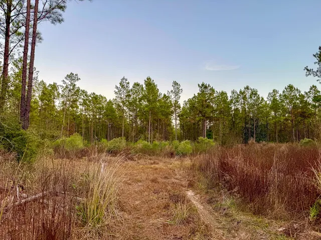 $156,792 | 0 FM 1012 North, Newton, TX 75966