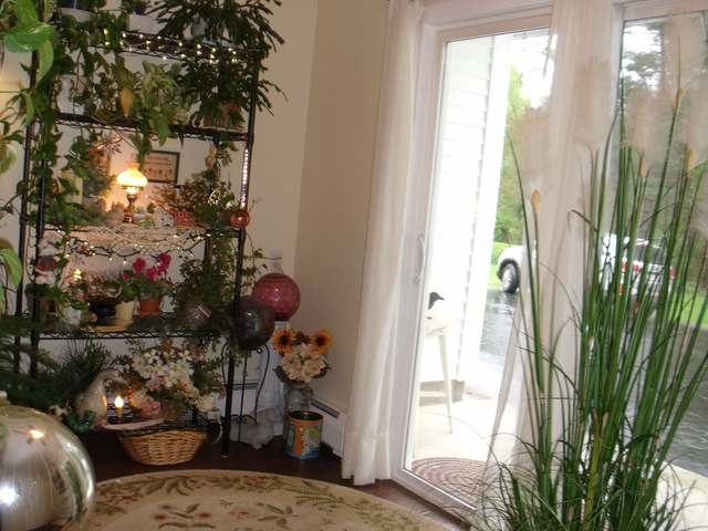 42 Utah Road Sheffield, PA 16347 - Photo 2 of 52 Gallery Image 2