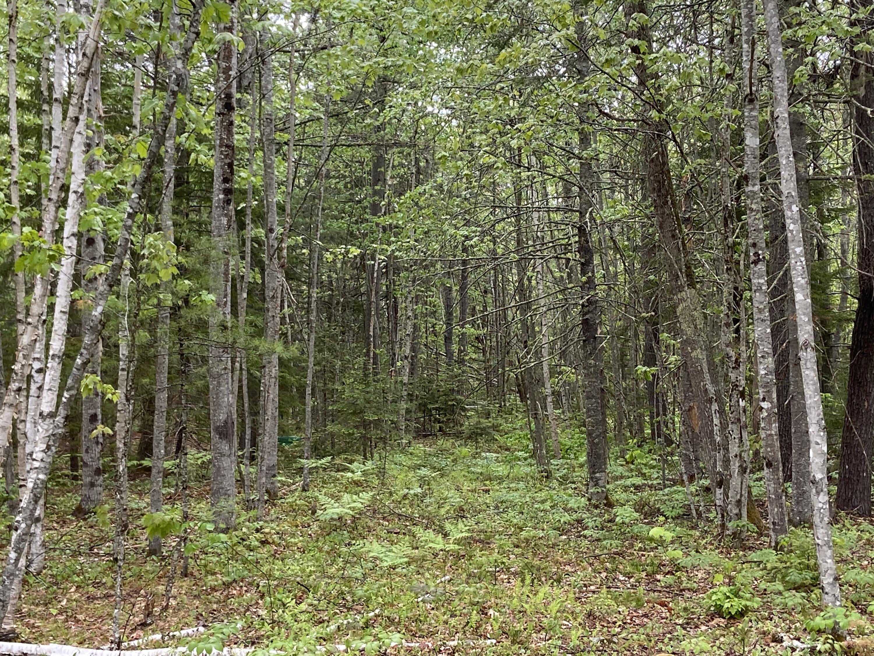 1 Will Butler Lane Bremen, ME 04551 - Photo 6 of 16 IMG_1414