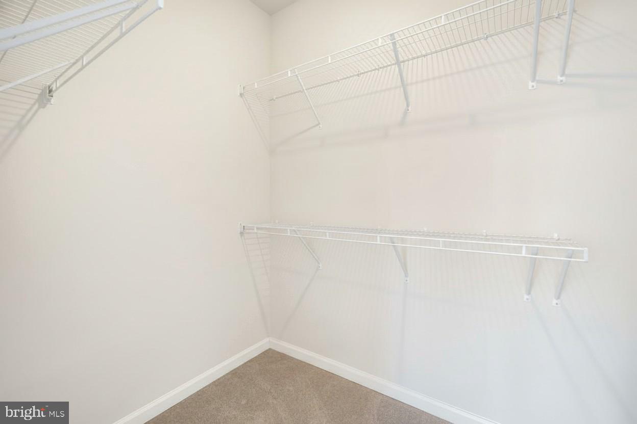 3230 Provider Way Germantown, MD 20874 - Photo 29 of 57 Primary Walk-in Closet 1
