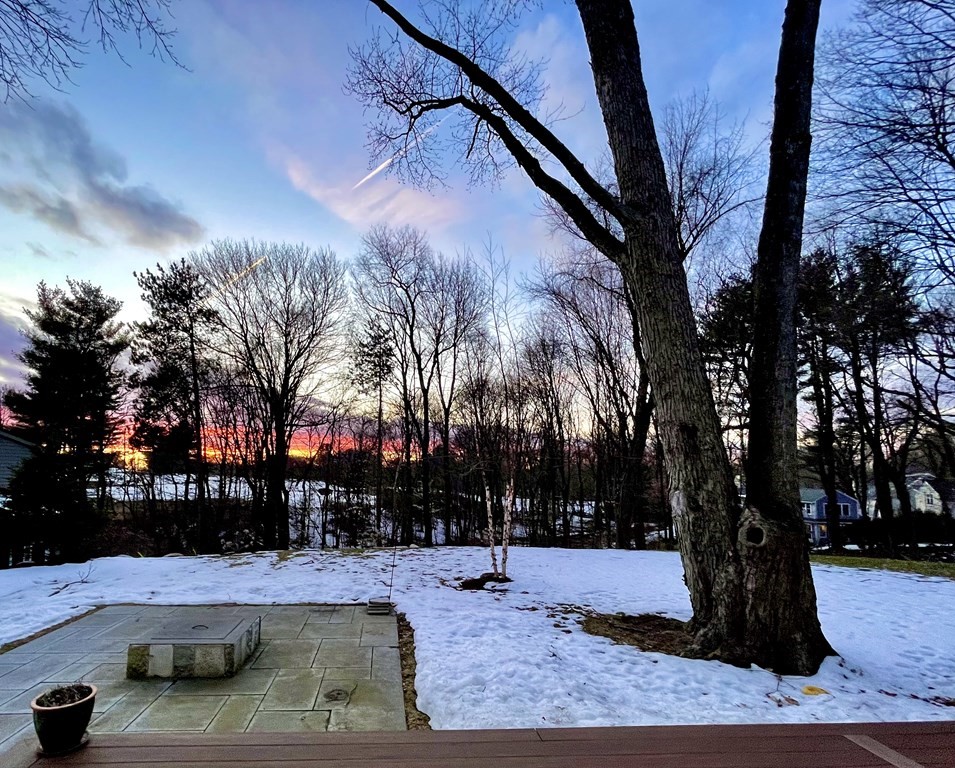 11 Carley Road Lexington, MA 02421 - Photo 40 of 40