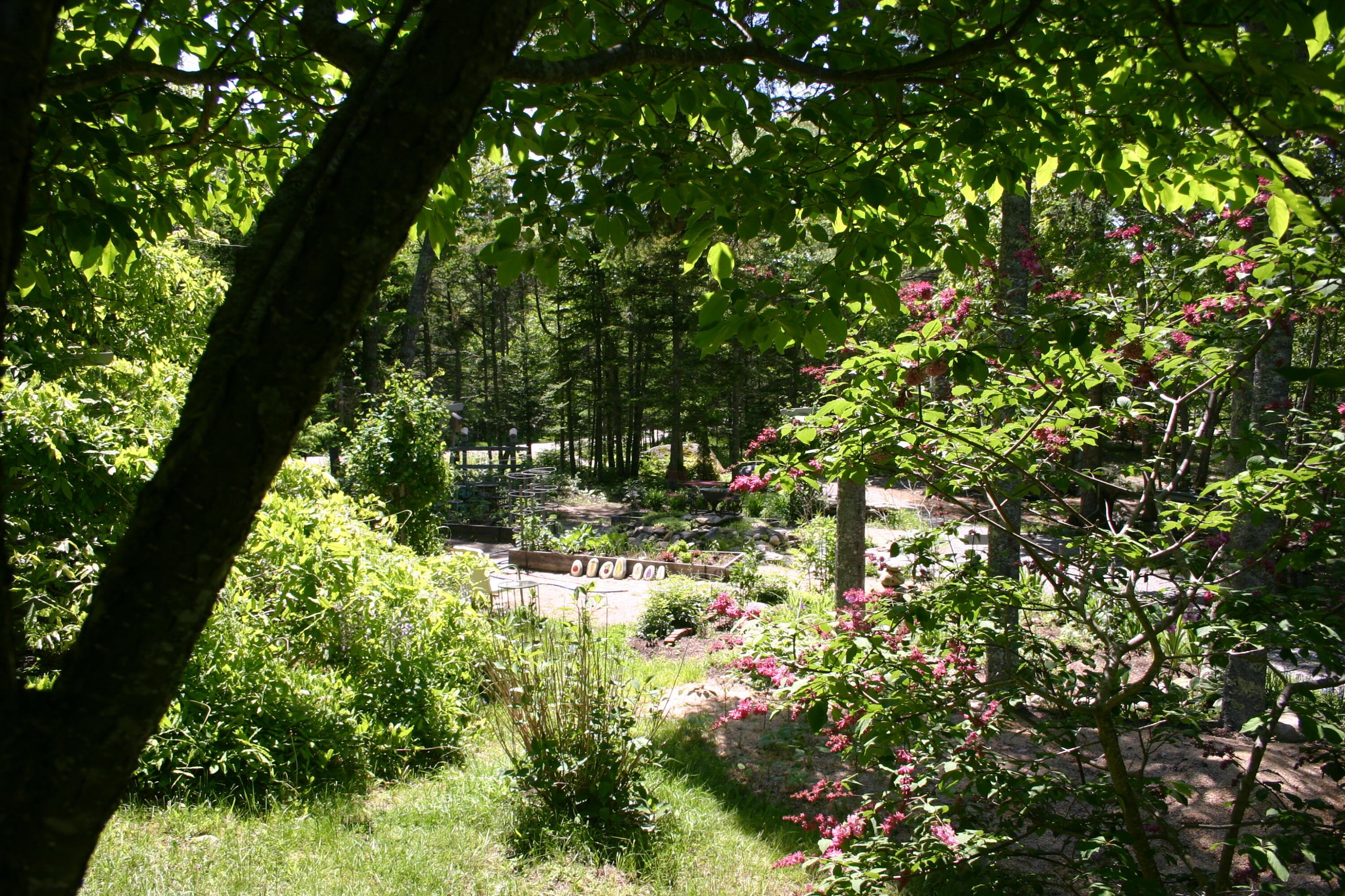 36 Granite Hill Road Pemaquid, ME 04558 - Photo 94 of 134 IMG_0440
