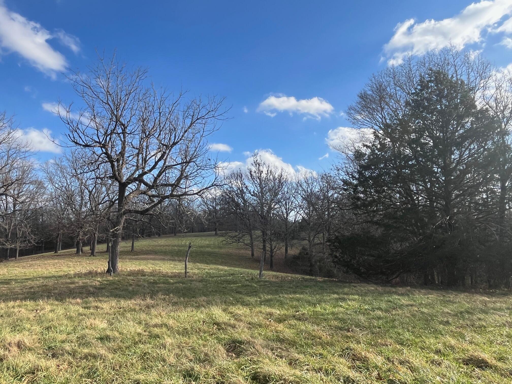 615 Thomas Hollow Road Exeter, MO 65647 - Photo 69 of 82 open and cleared