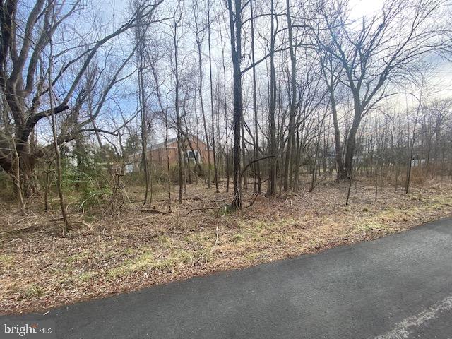 1027 Old Turkey Point Road Edgewater, MD 21037 - Photo 2 of 7 a backyard of a house with lots of green space