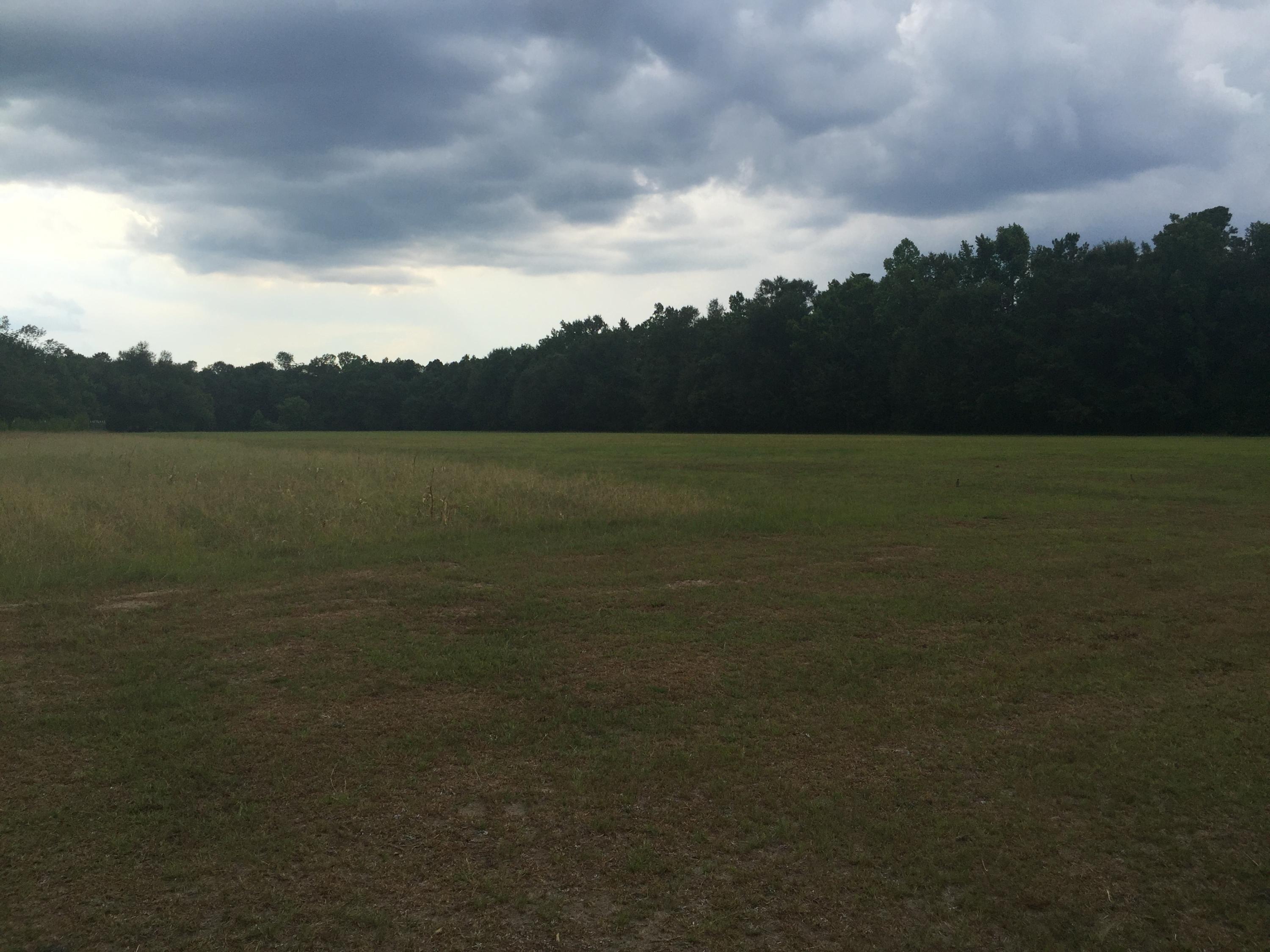 1533 Old Gilliard Road Ridgeville, SC 29472 - Photo 17 of 41 IMG_5663
