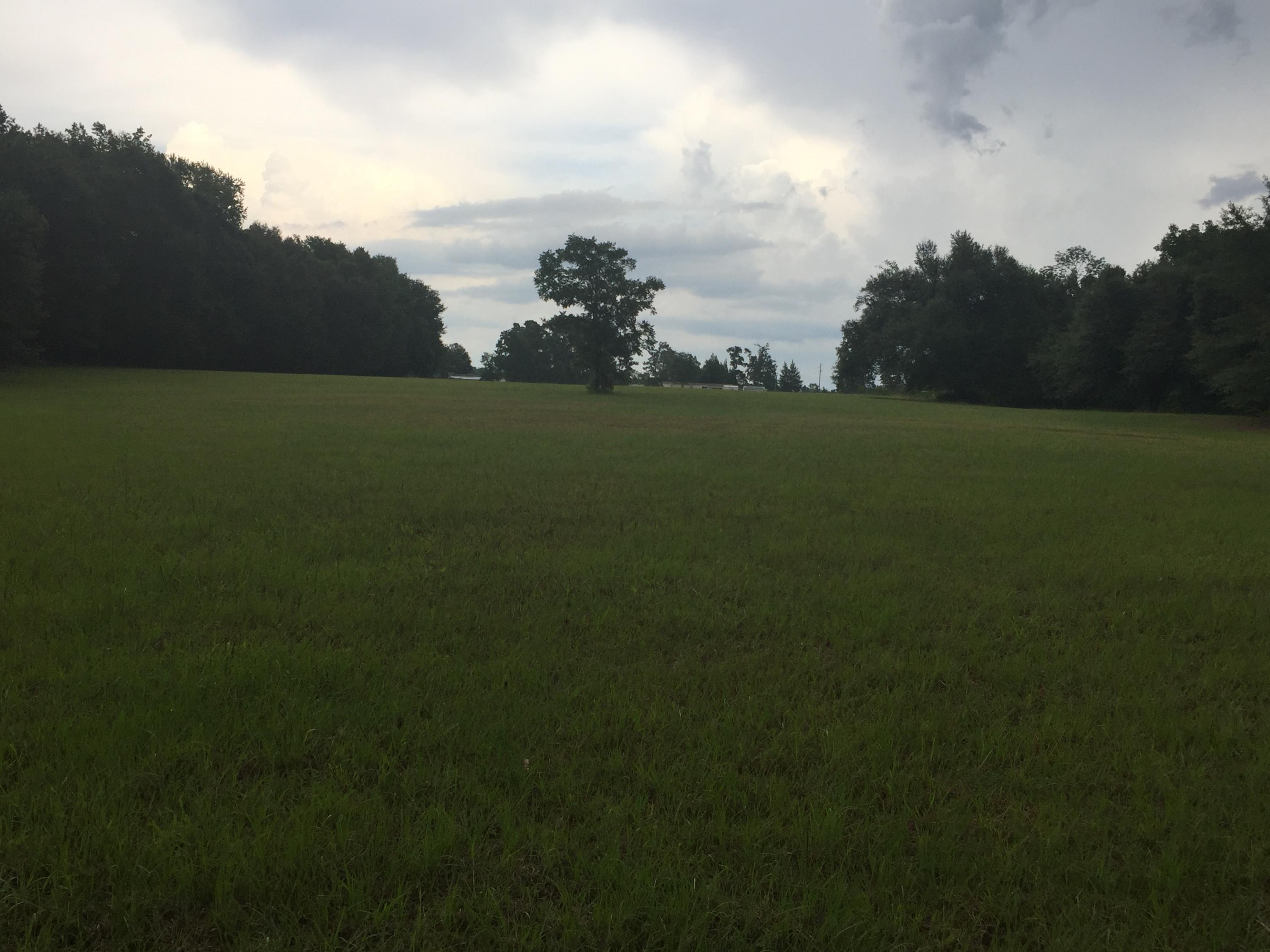 1533 Old Gilliard Road Ridgeville, SC 29472 - Photo 18 of 41 IMG_5685