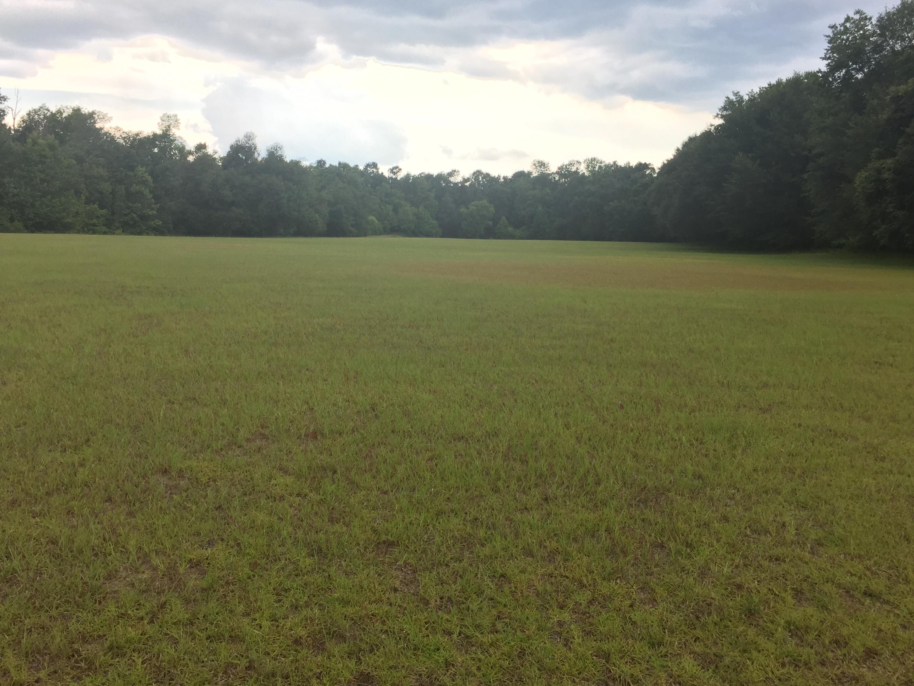 1533 Old Gilliard Road Ridgeville, SC 29472 - Photo 19 of 41 IMG_5665