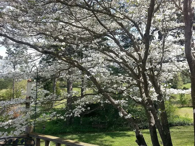 $525,000 | 491 Hillview Drive, Lawrenceburg, TN 38464