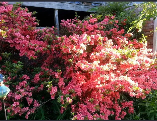 $525,000 | 491 Hillview Drive, Lawrenceburg, TN 38464