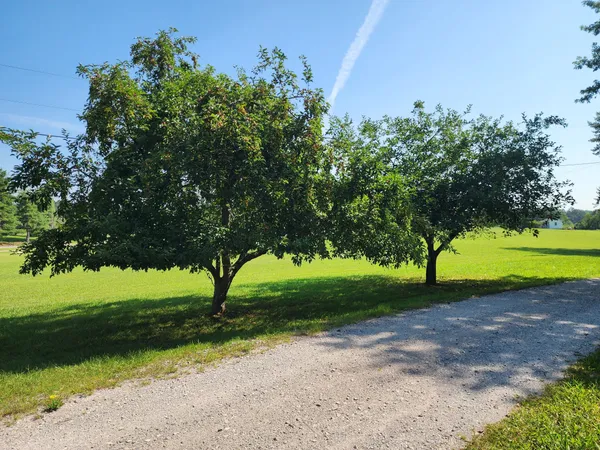 $490,000 | 491 Hillview Drive, Lawrenceburg, TN 38464