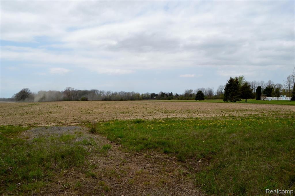 3110 Morrish Road Swartz Creek, MI 48473 - Photo 2 of 8