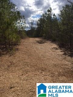 0 Henderson Lake Road, Unit 128 Munford, AL 36268 - Photo 18 of 31