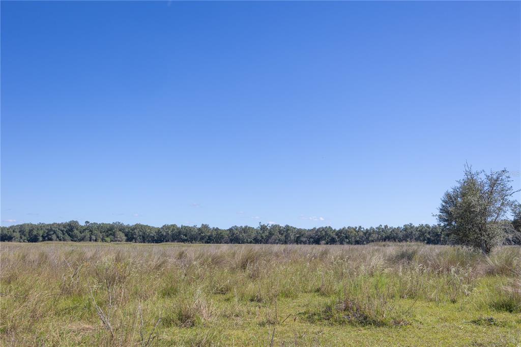 673 Webster Webster, FL 33597 - Photo 10 of 69 Gallery Image 10