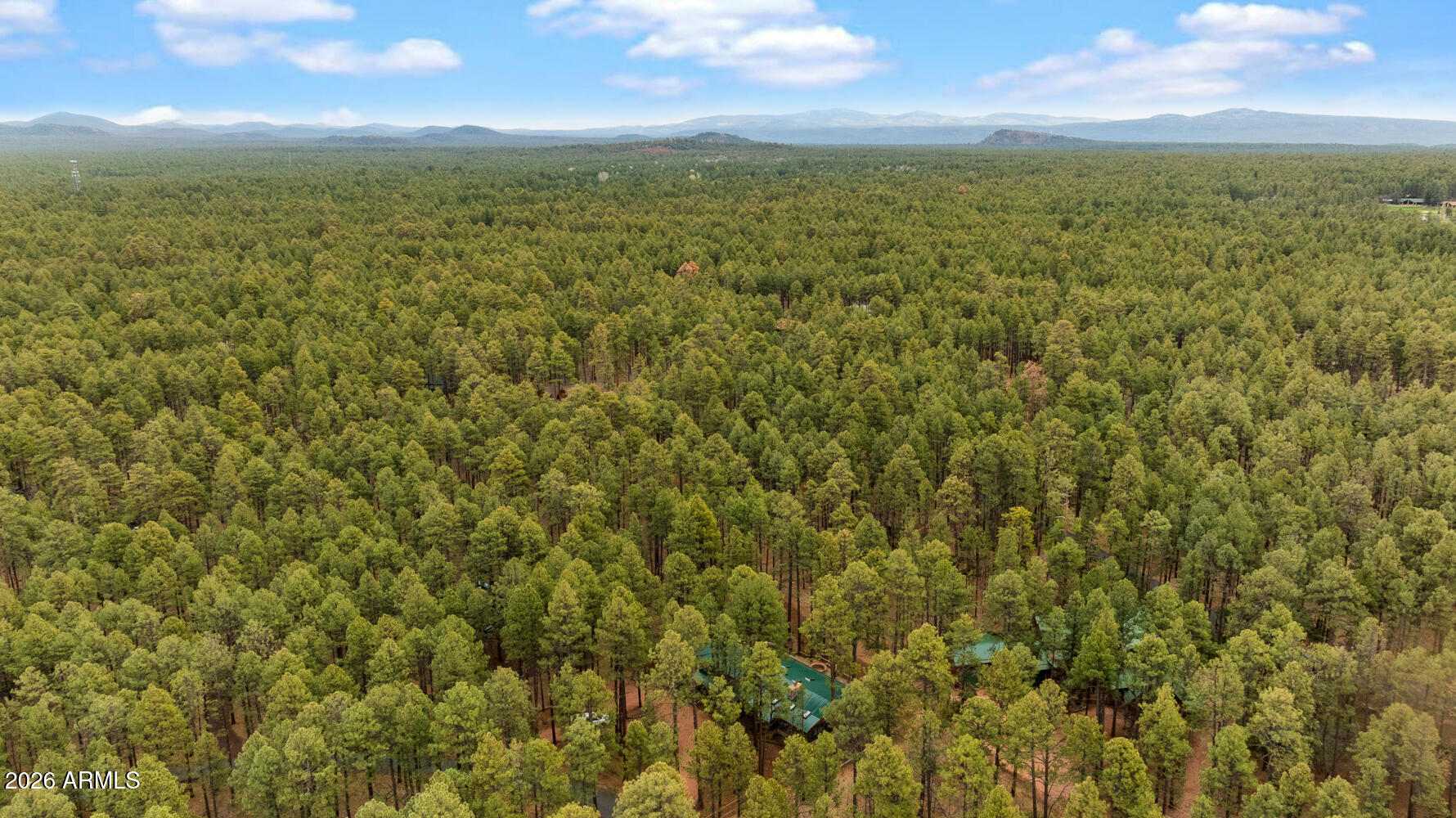 2539 Butterfly Lane Pinetop, AZ 85935 - Photo 61 of 61 a view of a city