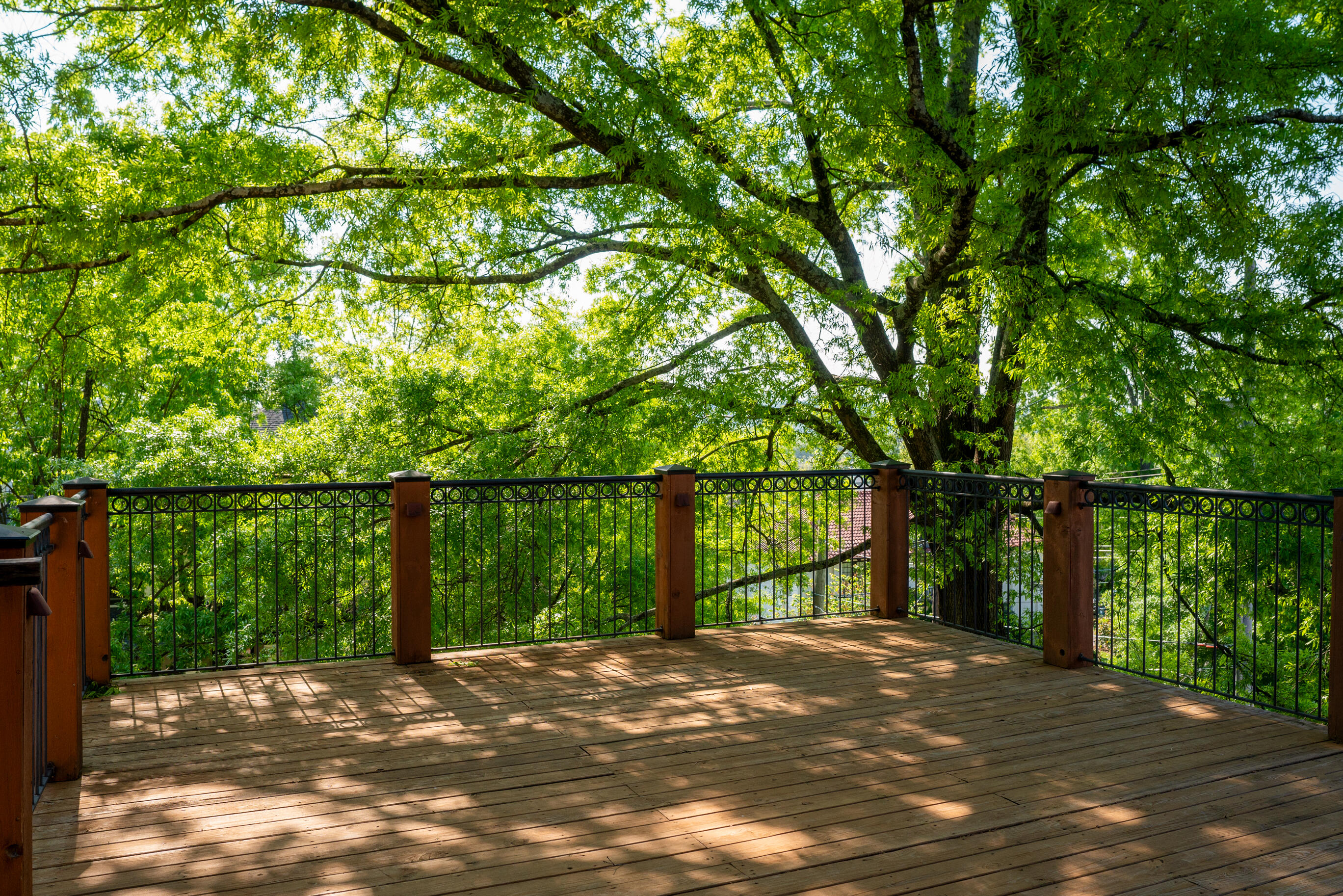 900 Vine Street, Unit 8 Chattanooga, TN 37403 - Photo 34 of 79 _DSC9924-Edit