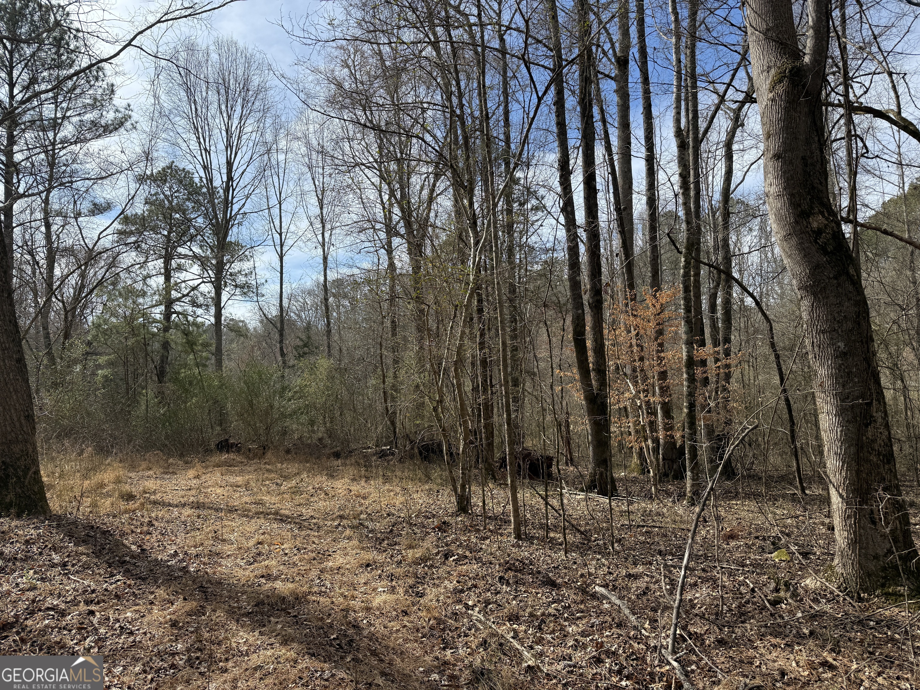 4.51-acres Whatley Road North LaGrange, GA 30240 - Photo 15 of 26