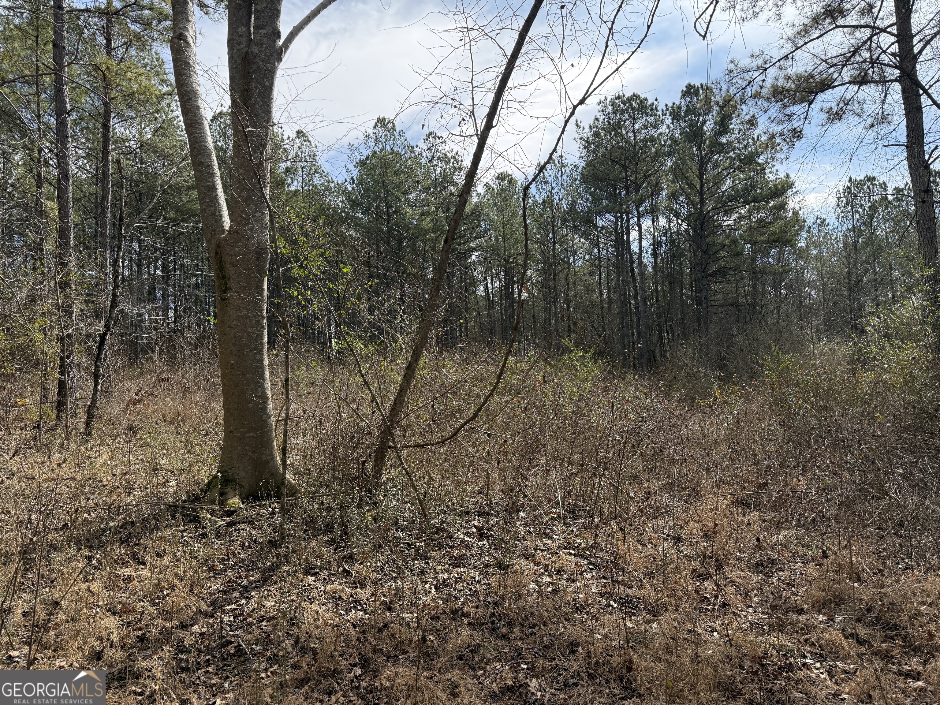 4.51-acres Whatley Road North LaGrange, GA 30240 - Photo 16 of 26