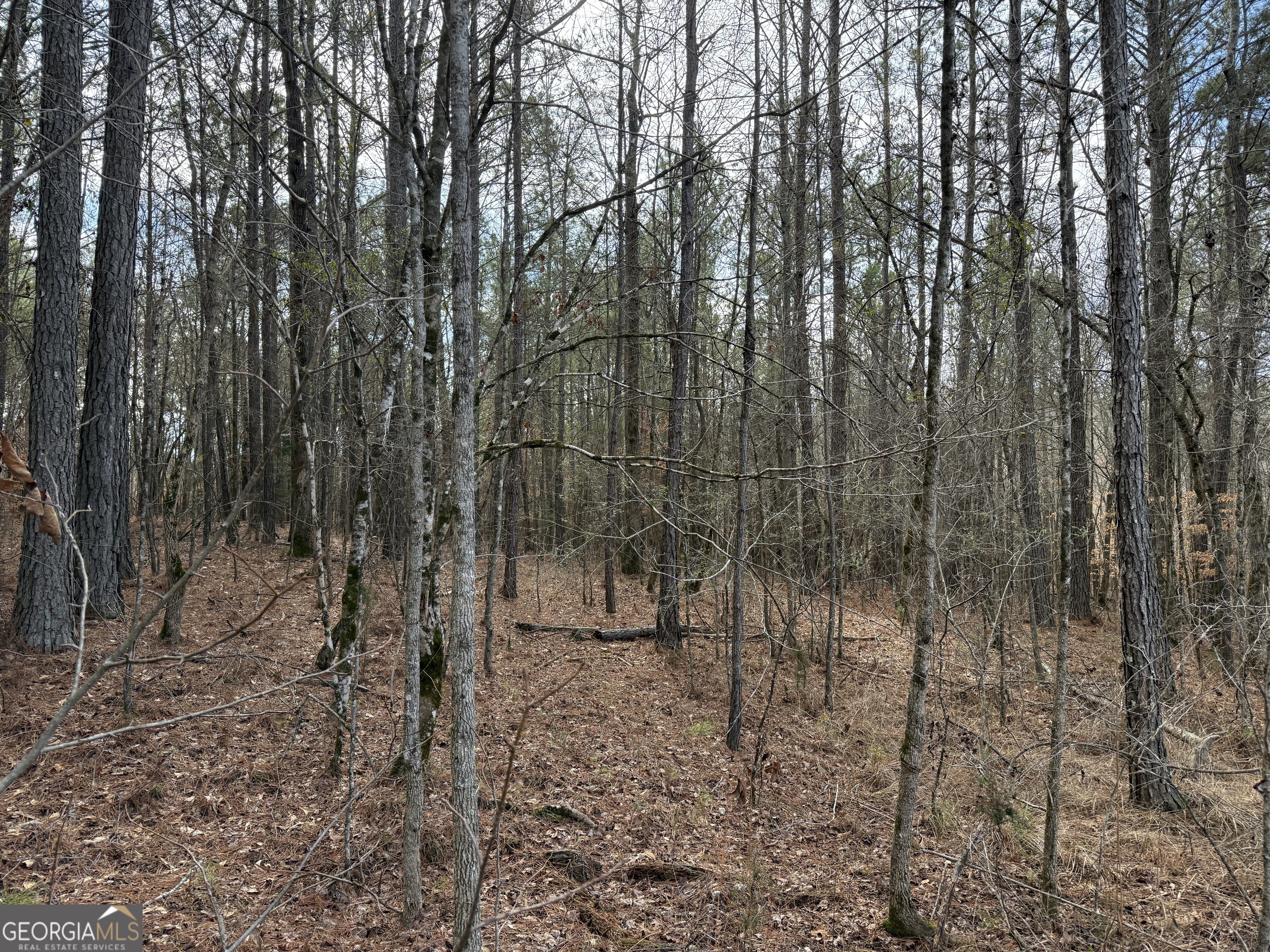 4.51-acres Whatley Road North LaGrange, GA 30240 - Photo 17 of 26