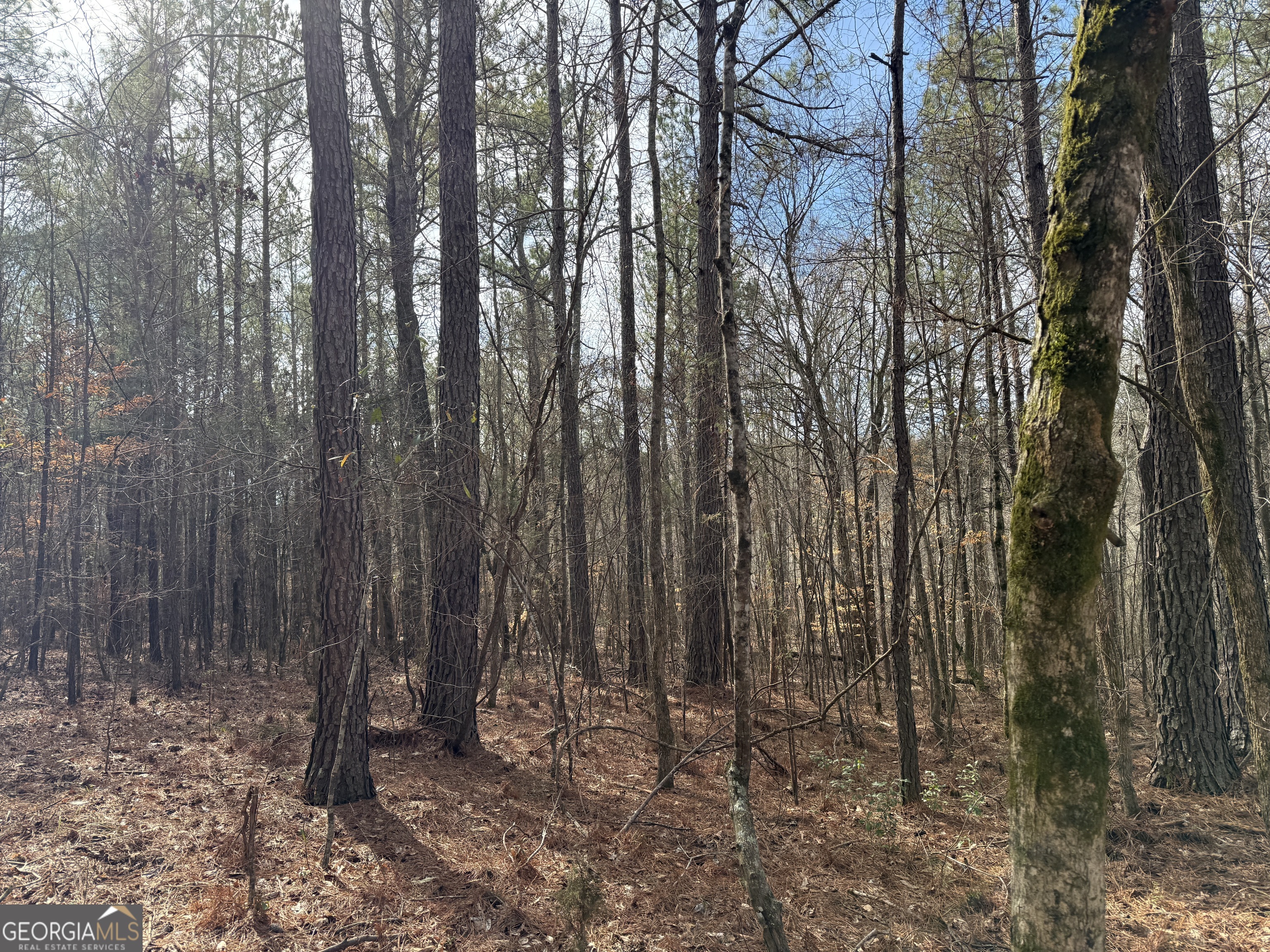 4.51-acres Whatley Road North LaGrange, GA 30240 - Photo 18 of 26