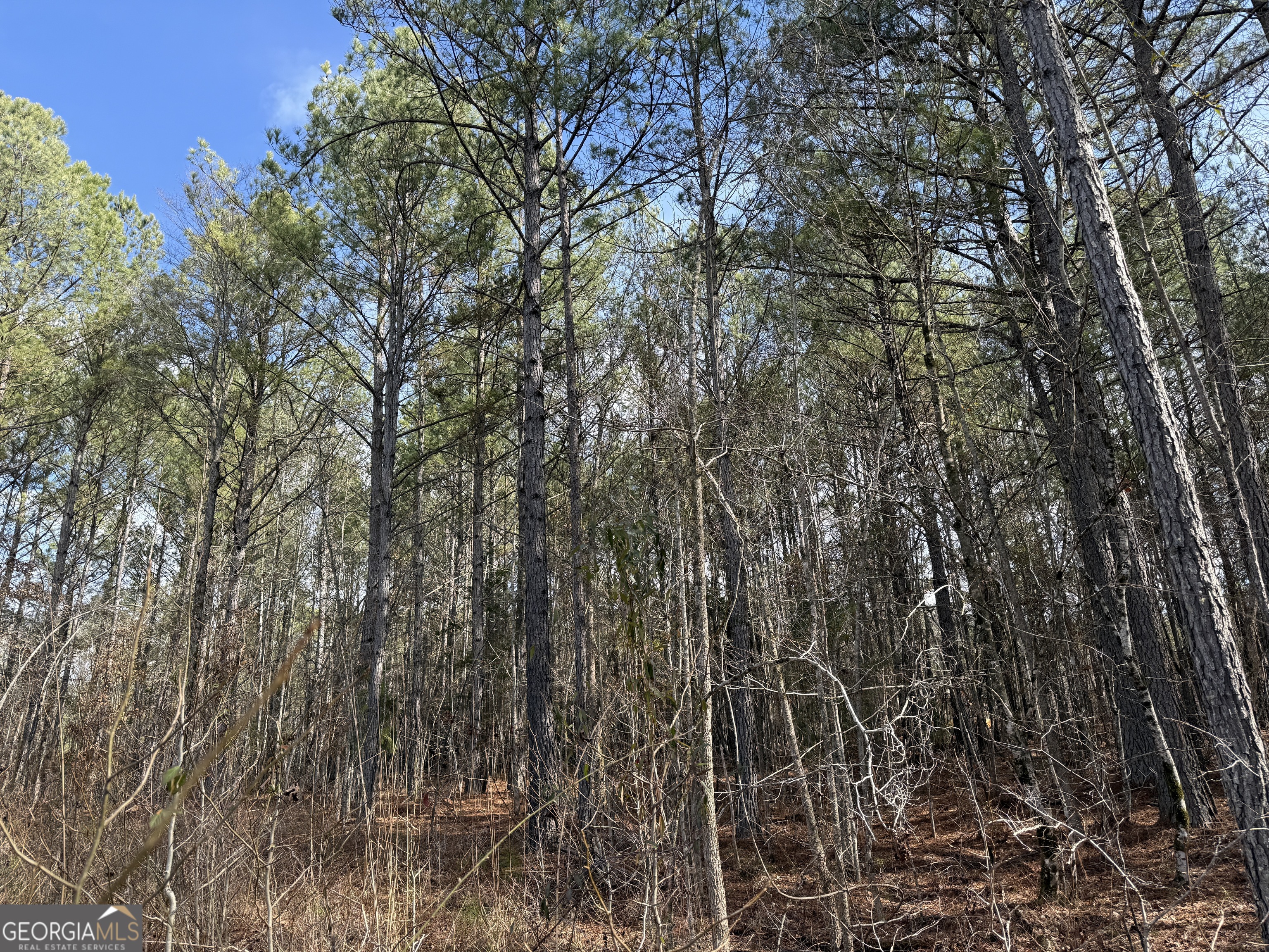 4.51-acres Whatley Road North LaGrange, GA 30240 - Photo 19 of 26