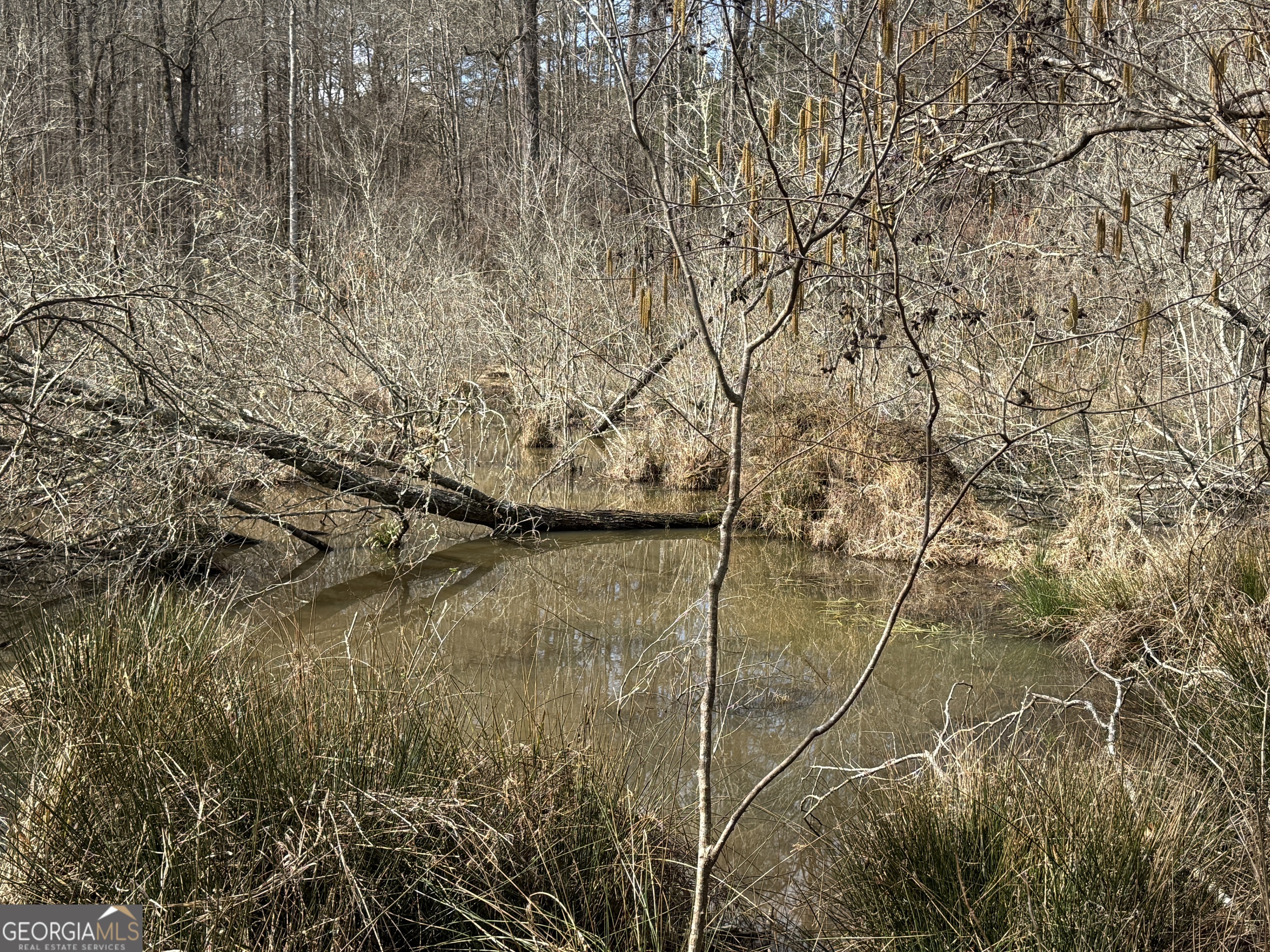 4.51-acres Whatley Road North LaGrange, GA 30240 - Photo 20 of 26