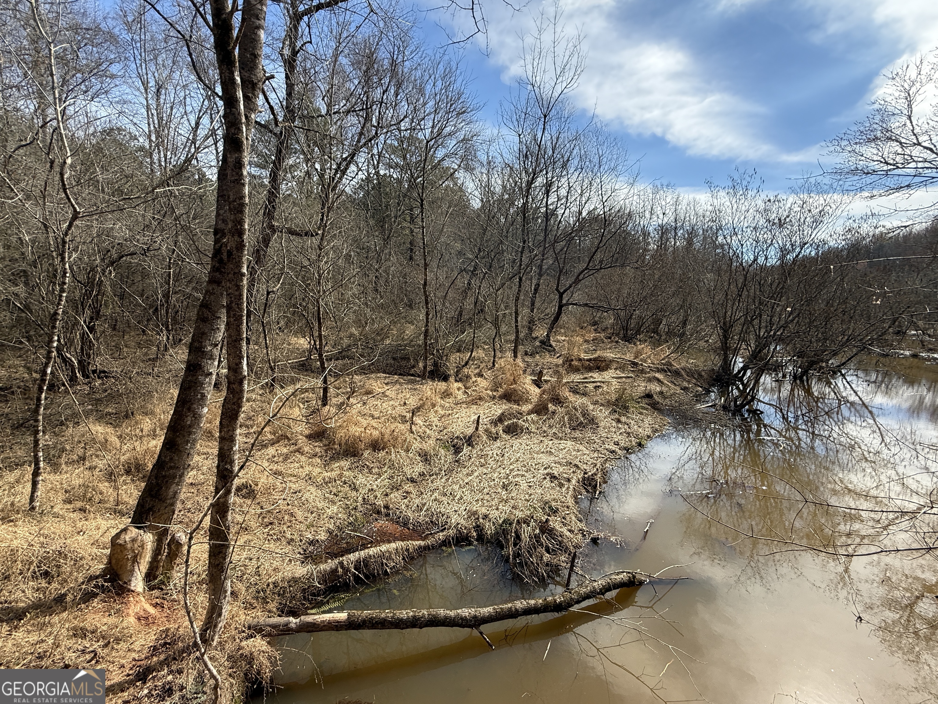 4.51-acres Whatley Road North LaGrange, GA 30240 - Photo 2 of 26