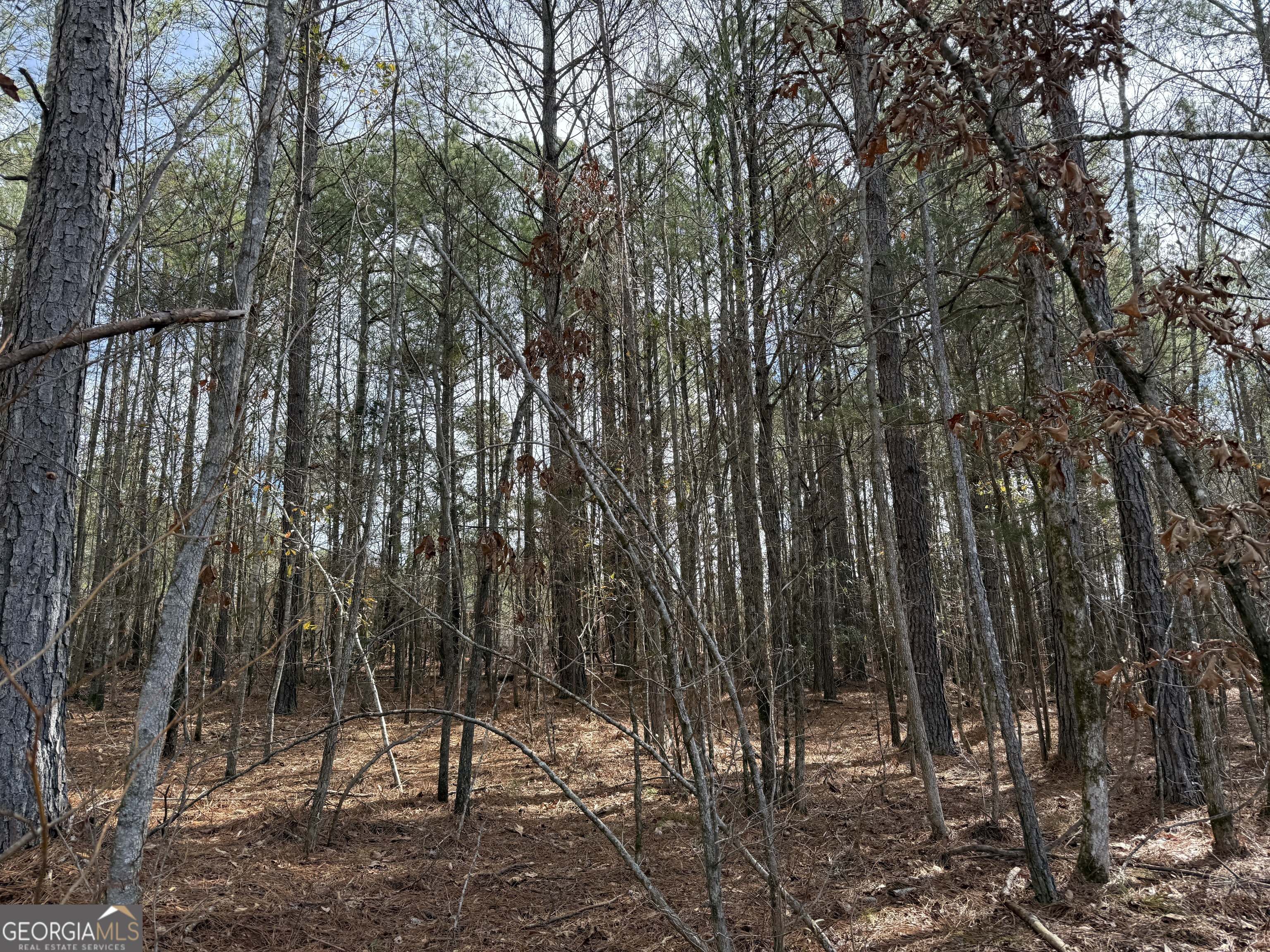 4.51-acres Whatley Road North LaGrange, GA 30240 - Photo 3 of 26