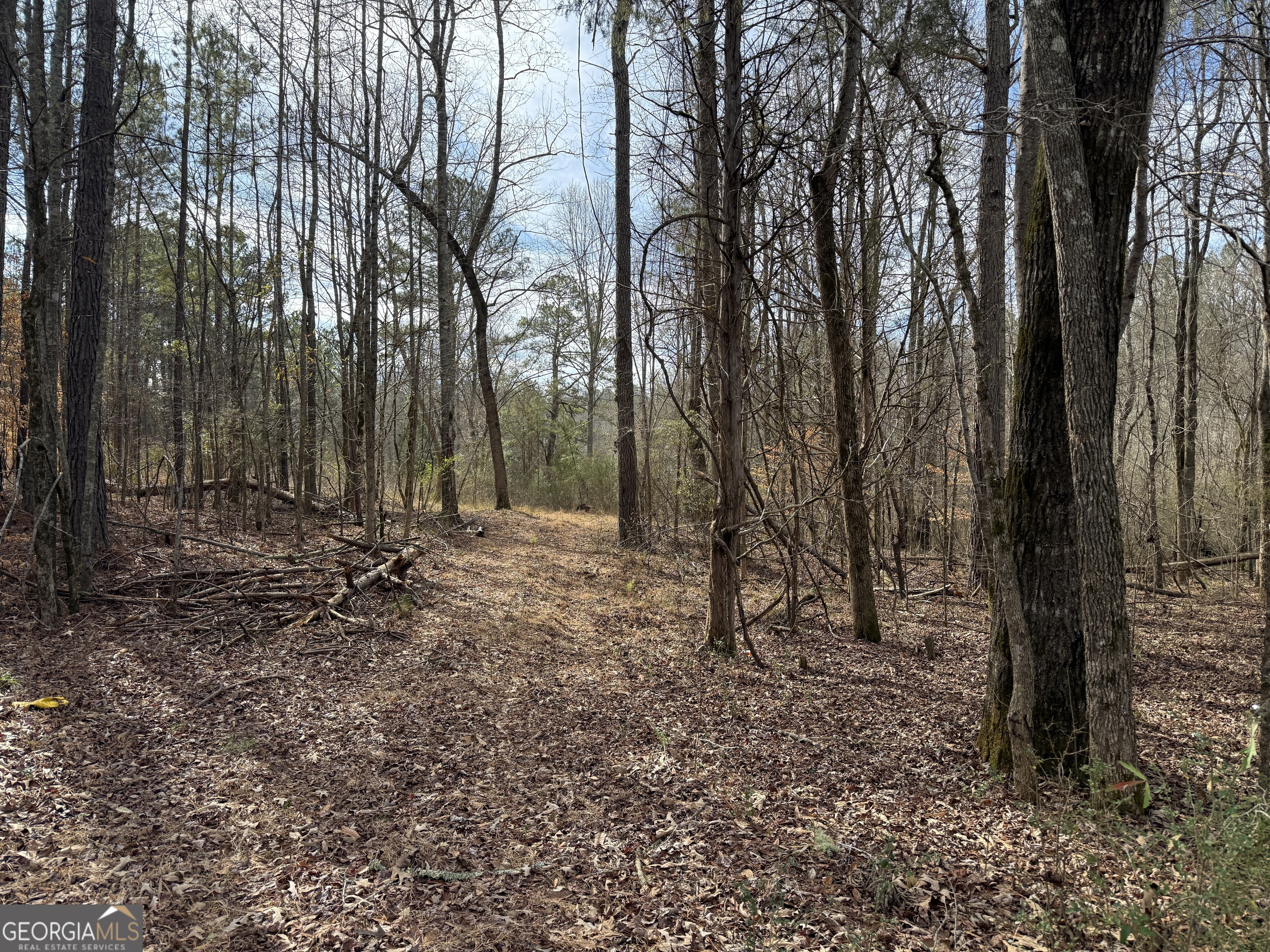 4.51-acres Whatley Road North LaGrange, GA 30240 - Photo 4 of 26