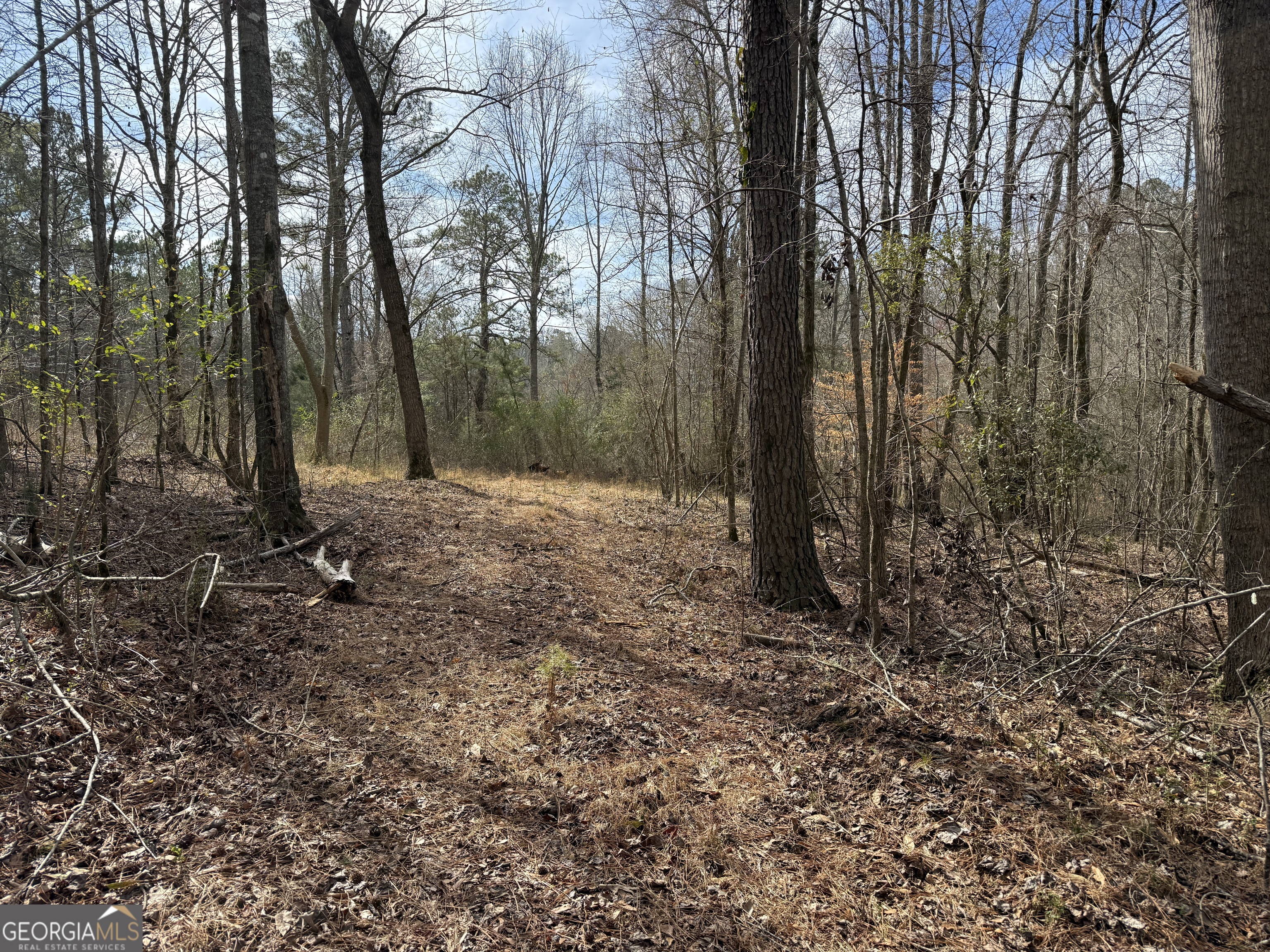 4.51-acres Whatley Road North LaGrange, GA 30240 - Photo 7 of 26