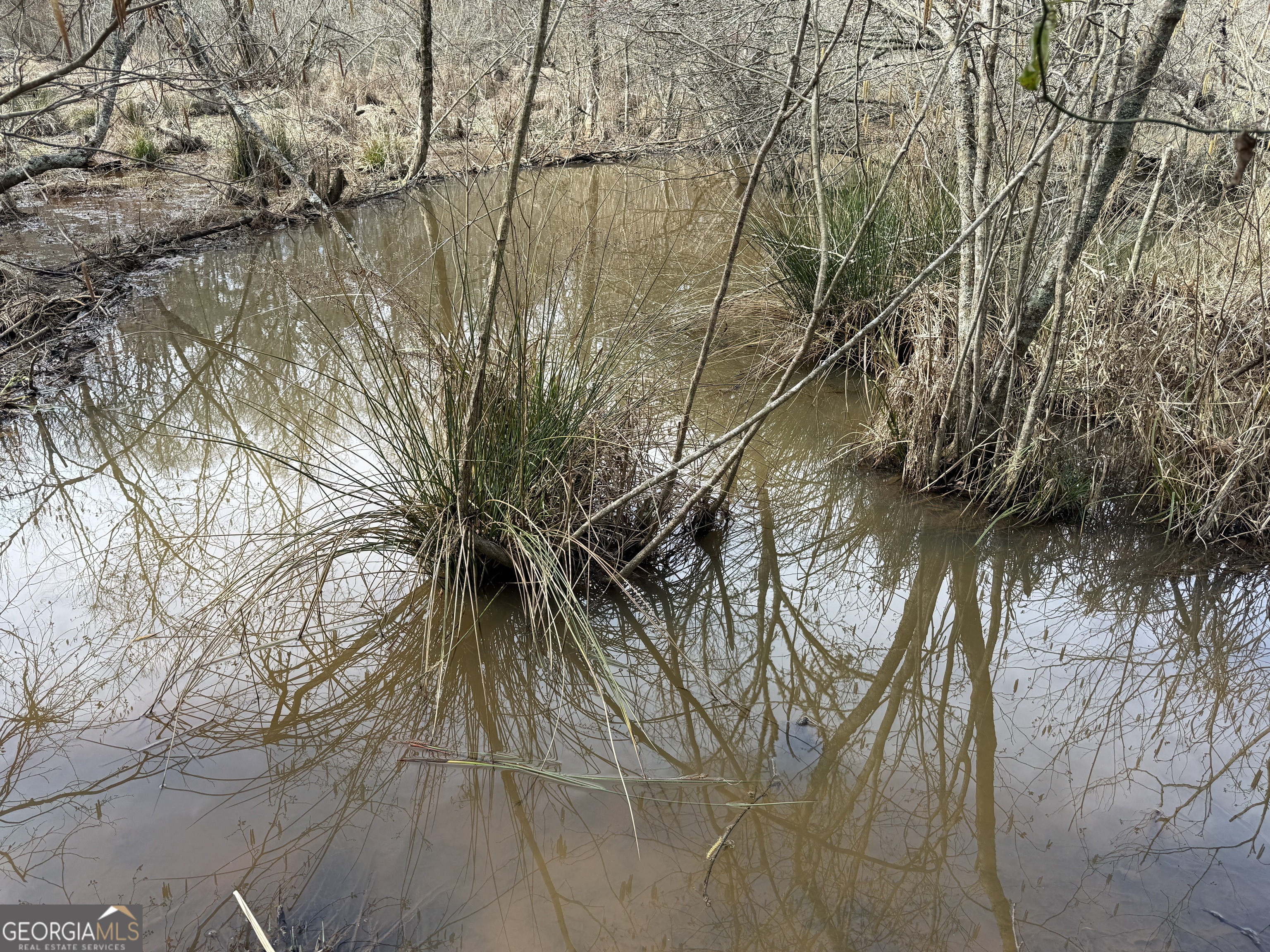 4.51-acres Whatley Road North LaGrange, GA 30240 - Photo 10 of 26