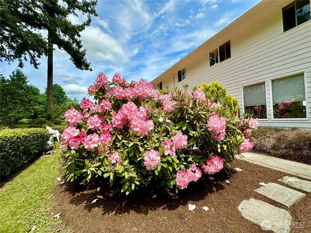 a bunch of flowers in front of the house