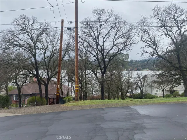 a pathway of a house with a yard and large trees